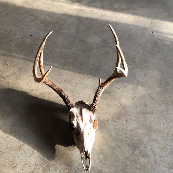 Profile Picture of Joshua Caudle (@joshuacaudle8) on Tiktok