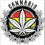 Profile Picture of andrew seltzer (@cannabliss25) on Instagram