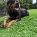 Profile Picture of Brett Cahoon (@bckahuna) on Pinterest