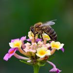 Profile Picture of Kevin Beckett (@kevinpb40) on Instagram