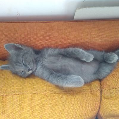 Profile Picture of Lorena Lizarraga (@LorenaL15691552) on Twitter