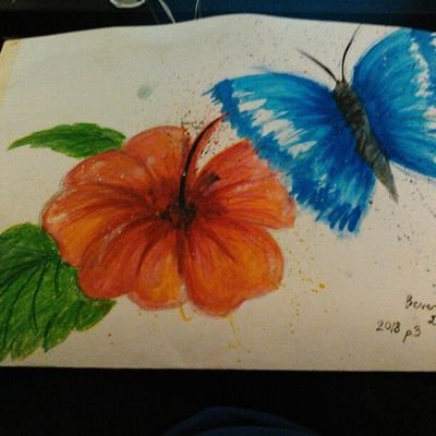 Profile Picture of Beverly Lafferty (@Shark_bait265) on Twitter