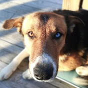 Profile Picture of Colin Crowe (@colincrowe4851) on Youtube