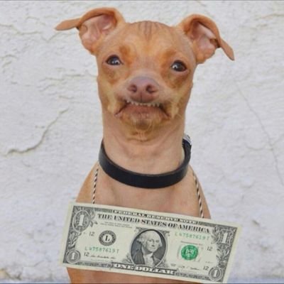 Profile Picture of Chris Pellegrin (@ChrisJPellegrin) on Twitter