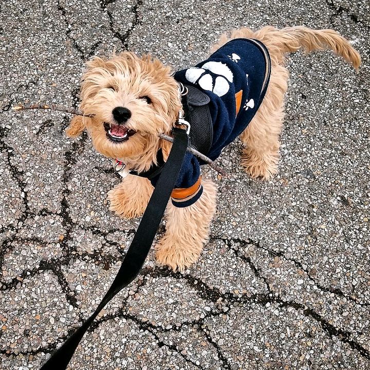 Profile Picture of Lori Schmidt (@lori_schmidt) on Tiktok