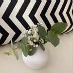 Profile Picture of Alexandra Spitzer (@alexspitzer) on Instagram