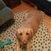 Profile Picture of Sandy Keefer (@sandy.keefer.12) on Facebook
