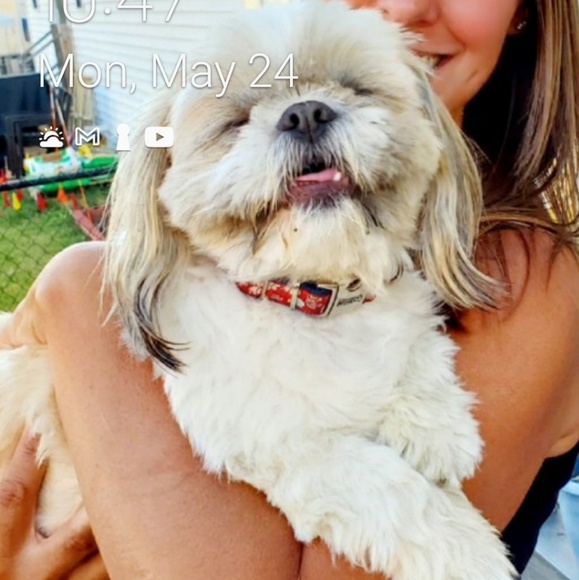 Profile Picture of Linda Matrose (@lmatrose) on Poshmark