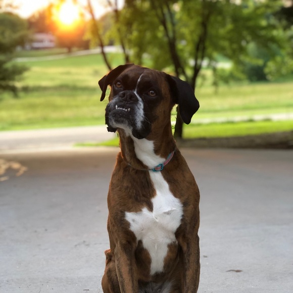 Profile Picture of Morgan Laufenberg (@morgielee22) on Poshmark