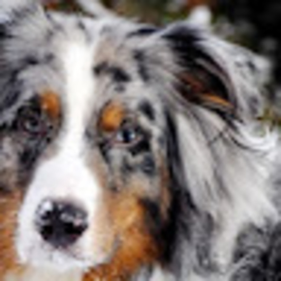 Profile Picture of Joe Bilbrey (@bilbreyjoe66) on Poshmark