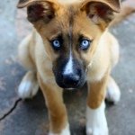 Skar James Labillois - Instagram Profile Picture of Skar James Labillois (@skar_22at1994) on Instagram