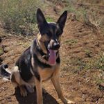 Profile Picture of Mark Dakin (@mark.dakin.750) on Instagram