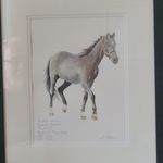 Profile Picture of Stephen Cote (@steve.cote.3785) on Instagram