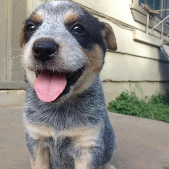 Profile Picture of Georgia Cogsdill (@georgiacogsdill) on Poshmark