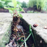 Profile Picture of Jacob Felix (@jacob-felix-15) on Quora