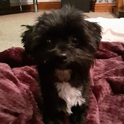 Profile Picture of Aaron West (@aaronwest7650) on Youtube