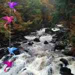 Profile Picture of Chris Fretwell (@fretwell6787) on Instagram