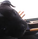 Profile Picture of Jeffrey Trigg (@jeffrey.trigg.12) on Facebook