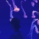 Profile Picture of Mitchell Bradford (@mitch.bradford_) on Instagram