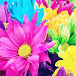 Profile Picture of Fabiola Ramos (@fabiolaramos735) on Flickr