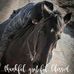 Profile Picture of Michael Mcgarrah (@michael.mcgarrah.948) on Facebook