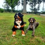 Profile Picture of Tini Stiller (@tinistiller) on Instagram