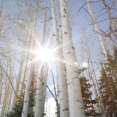 Profile Picture of Cheryl Craig-Darnell (@007Darnell) on Twitter