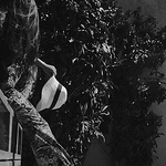 Profile Picture of Debo Dobrilla (@debodob) on Flickr