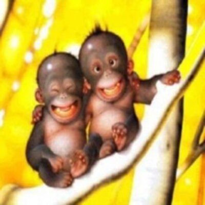 Paige Mullins - Twitter Profile Picture of Paige Mullins (@paigehmd) on Twitter