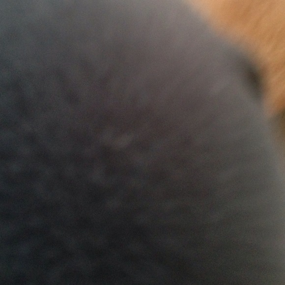 Profile Picture of Lorreen Mccabe (@lm2959) on Poshmark