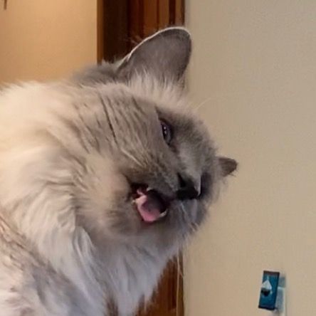 Profile Picture of Patrick Lutz (@@patricklutz1) on Tiktok