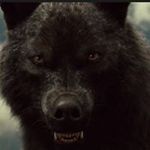 Kris Arturo De La Rosa Ayala - Instagram Profile Picture of Kris Arturo De La Rosa Ayala (@krisarturodelarosaayala) on Instagram