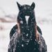 Profile Picture of Alice Terrill (@alicet1790) on Pinterest