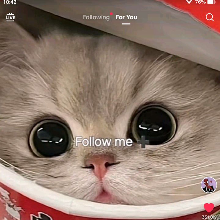 Profile Picture of mateoGarcia (@mateogarcia9168) on Tiktok