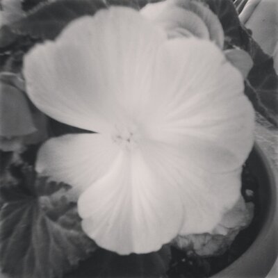 Profile Picture of ⊙Jillian Osborne⊙ (@jilly1d5sos) on Twitter