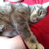 Profile Picture of Charles Pyles III (@charlespylesiii) on Pinterest