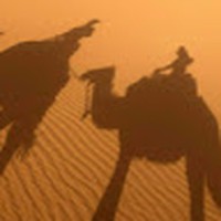 Profile Picture of Tina Zeng (@tina-zeng-21) on Quora