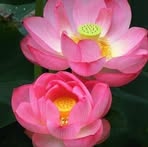 Profile Picture of James Sky (@james.sky.767148) on Facebook