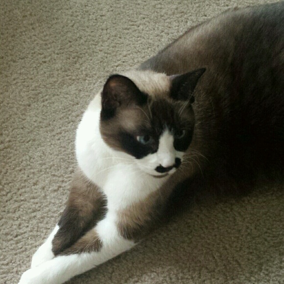 Profile Picture of Gwen Linquist (@gmicha2) on Poshmark