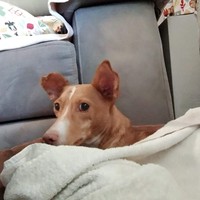 Lucía Augusto Barón - Quora Profile Picture of Lucía Augusto Barón (@lucía-augusto-barón) on Quora