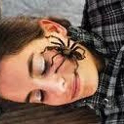 Profile Picture of Ellentolbert (@ellentolbert) on Twitter