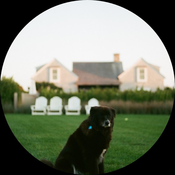 Profile Picture of Foster Scott (@fosterscott) on Poshmark