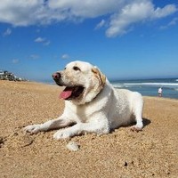 Profile Picture of Ivan Bernal (@ivan-bernal-6) on Quora