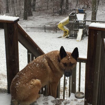 Profile Picture of David Stooksbury (@DavidStooksbur1) on Twitter