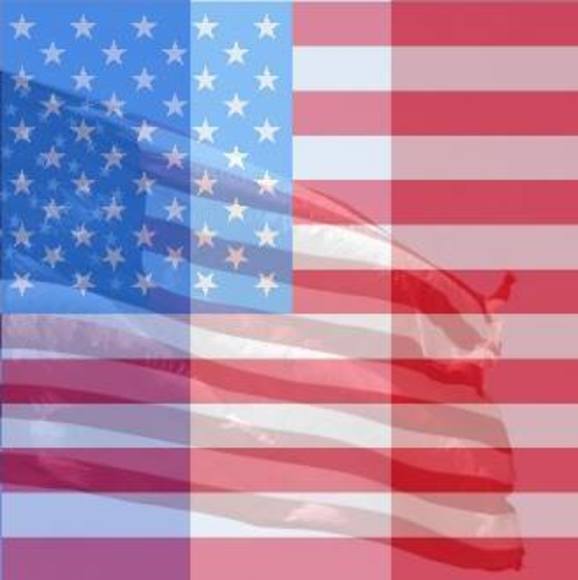 Profile Picture of Nancy Hauck (@nancyhauck) on Poshmark