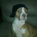 Profile Picture of James Pate (@bosjimatao91) on Pinterest