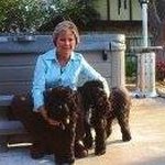 Profile Picture of Robin Dyer (@dyer6613) on Instagram