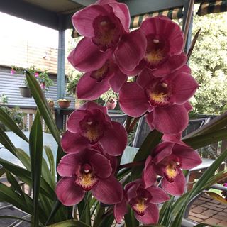 Profile Picture of Hazel Gretton (@hazel.gretton) on Facebook