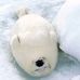 Profile Picture of Jessica Seal (@jessica.seal.58958) on Facebook