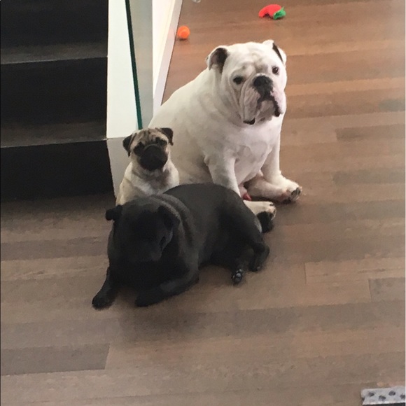 Profile Picture of Sarah Savona (@napoleon91) on Poshmark